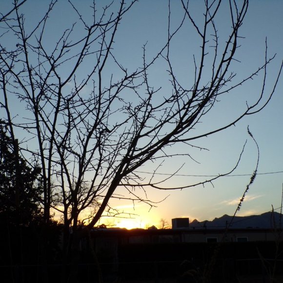 Meet your Posher, Janis - Picture 2 of 3